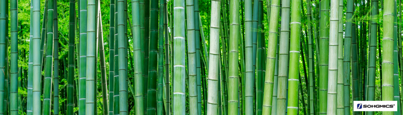Songmics bambuszfa termékek gyártása és bemutatása